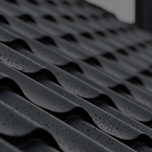 Toiture noire_banner